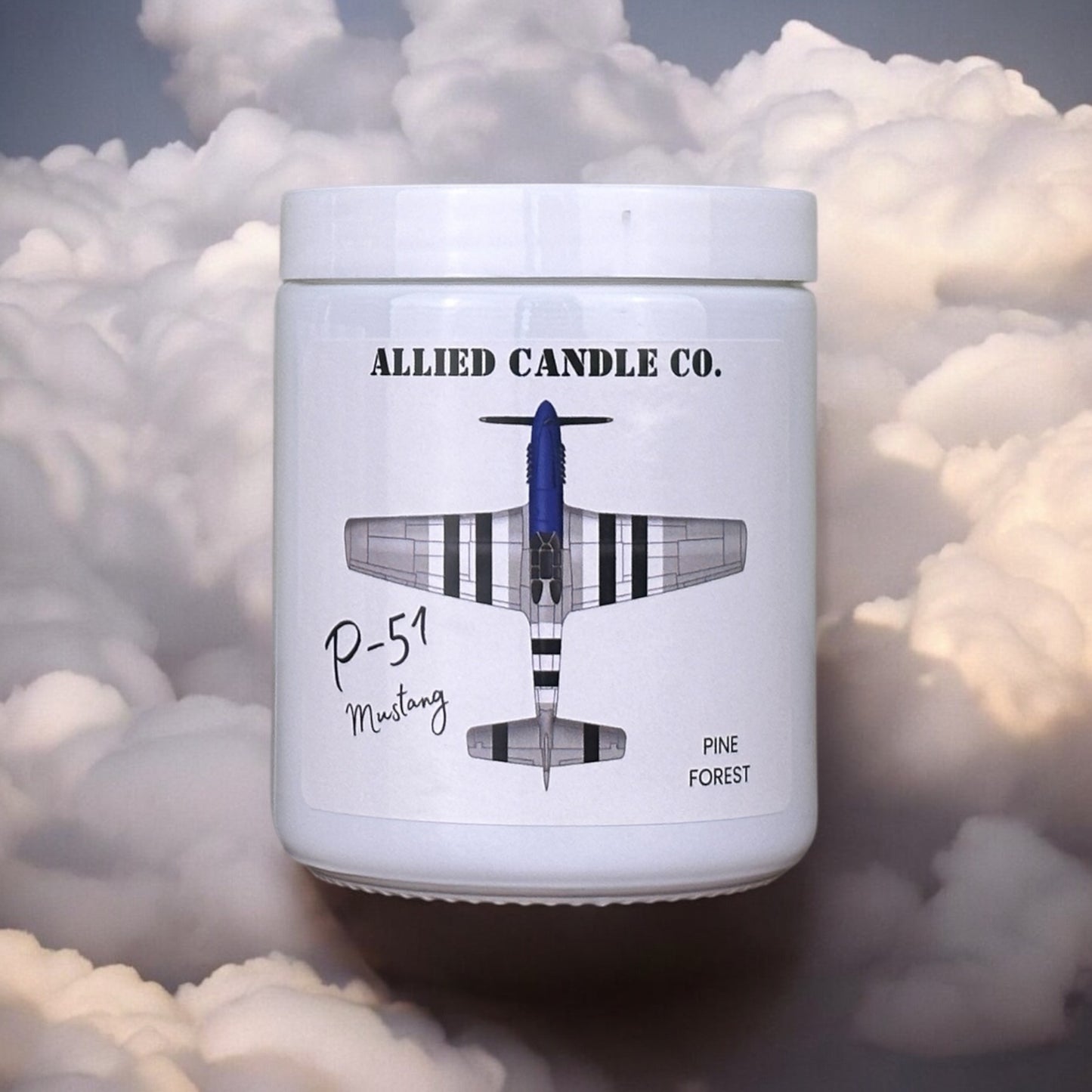 P-51 Blue Nose Bastards