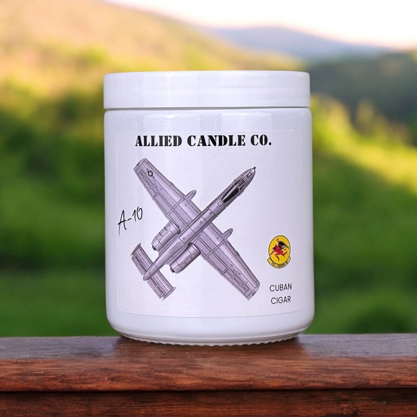 A-10 Warthog Michigan ANG